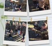 11218892_952783728123568_5131569367908942186_n